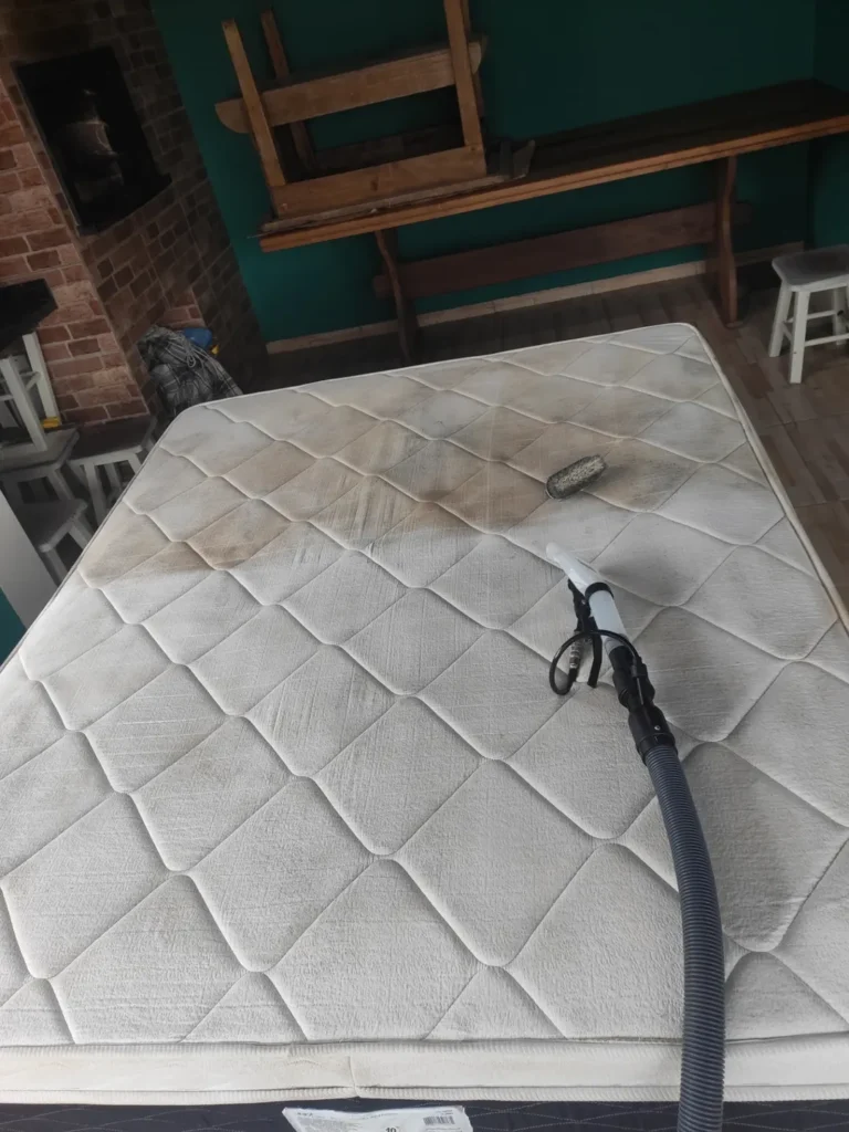 SaveClip.App_612422608_18042419636712441_2442272879215156117_n.webp